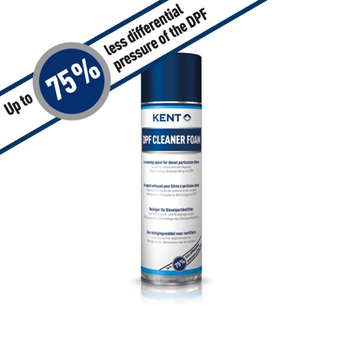 DPF Cleaner Foam